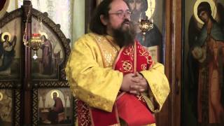 А. Кураев - Какие профессии запрещены для христианина