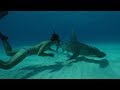 Trailer                                              Sharkwater Extinction