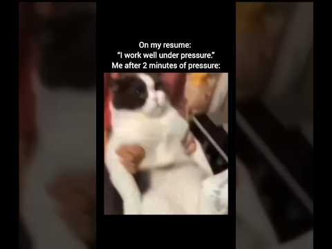 comedy bro lie in resume #shorts #funny