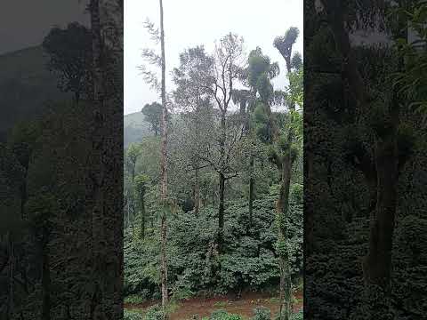 #naturalvlogs #naturalshortvideo #naturalbeauty