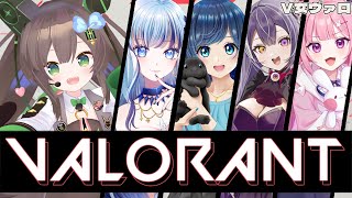 【 VALORANT】#V女ヴァロ　ふるぱで戦う！　【 #Vtuber / #千草はな 】