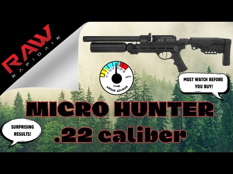 RAW Micro Hunter Airgun in .22 caliber | Airgun Advisor
