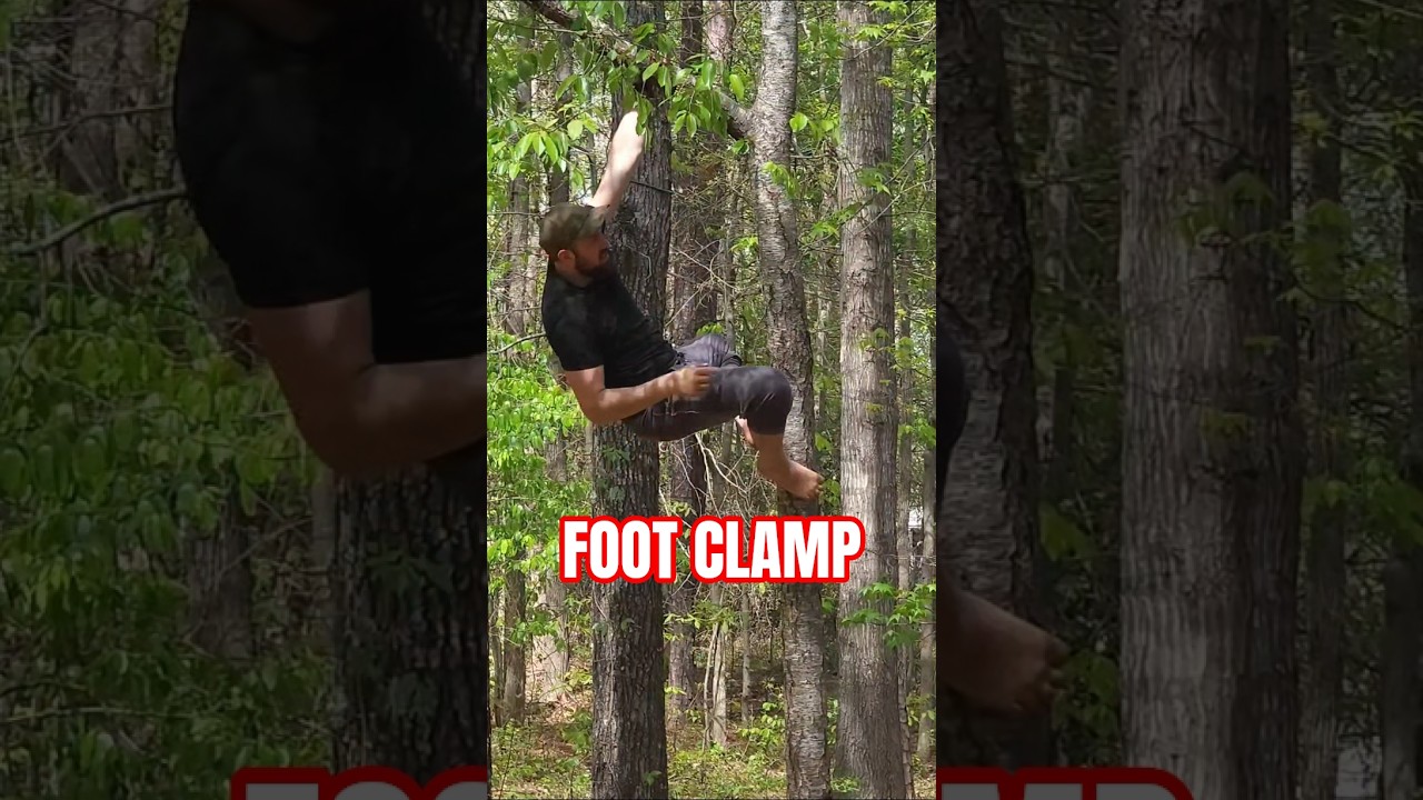 FOOT CLAMP Down a Tree