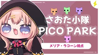 【PICO PARK】さおた小隊で協力してクリアを目指せ！【メリアラコーン視点/Vtuberコラボ】