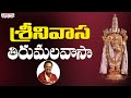 శ్రీ తిరుమలవాసా - Lord Venkateshwara Swamy Songs | S.P. Balasubrahmanyam | Veturi | Ramana Gokula