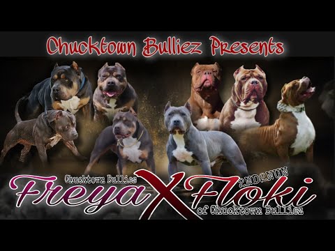 Couple of the pups😍😍😍