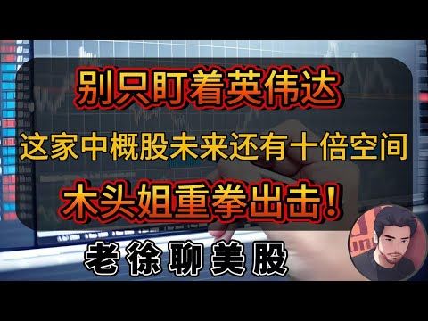 别只盯着英伟达，这家中概股未来还有十倍空间，木头姐出手，百年难遇的投资机会正在浮现！#财经 #金融 #投資 #美股 #纳斯达克 #英伟达 #特斯拉 