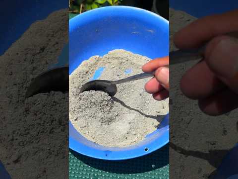 Como tener un buen fruto con la ceniza #plantas #jardin