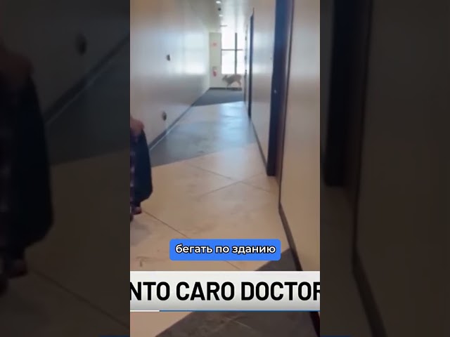 Оленя выгнали из больницы за неадекватное поведение