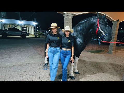 ASÍ puedes GANAR un CABALLO en EL SALVADOR 🇸🇻