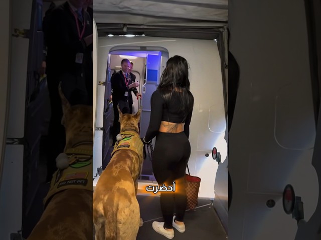 أحضرت معها كلب عملاق للطائرة! 🥶