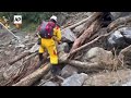Rescue dog finds dead body on Taiwans Shakadang Trail after earthquake  - 00:50 min - News - Video