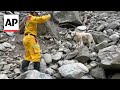 Rescue dog finds dead body on Taiwans Shakadang Trail after earthquake