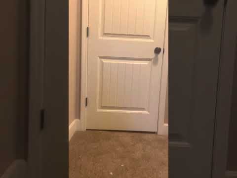 Listing Video