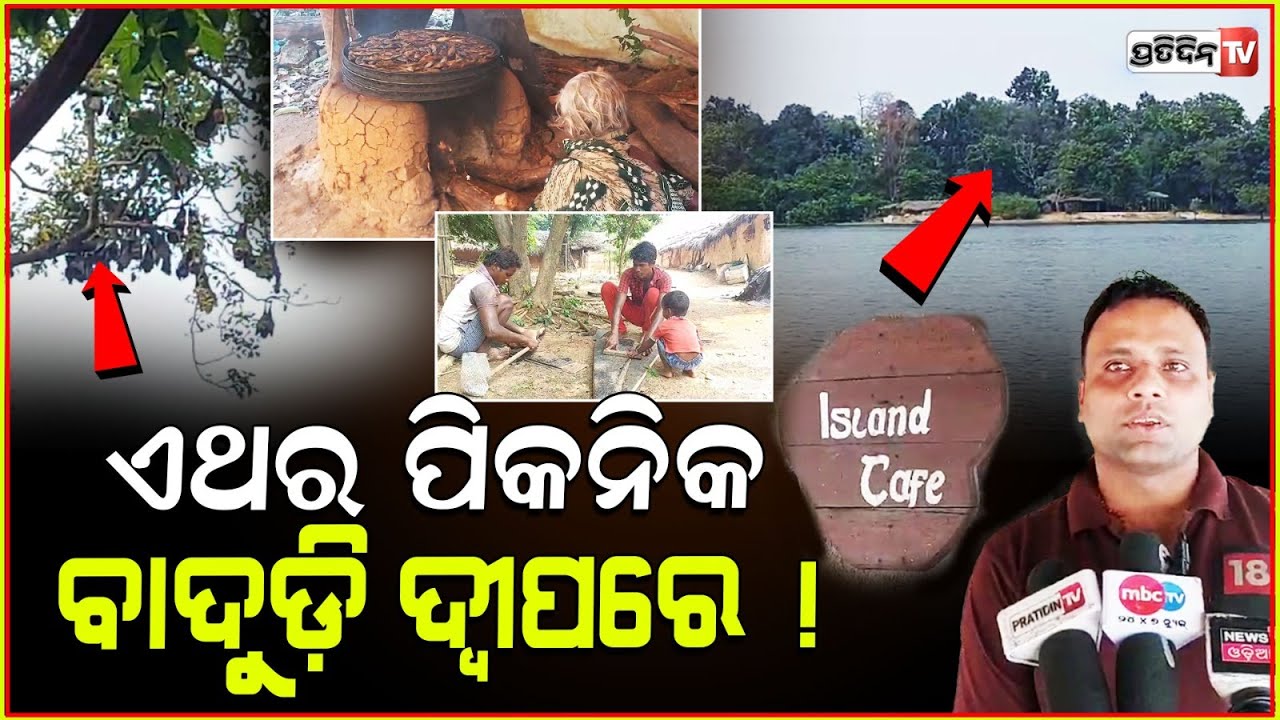 ପିକନିକ ଏଥର ବାଦୁଡ଼ି ଦ୍ଵୀପରେ ! Debrigarh ecotourism, Mysterious Bat Island of Hirakud, Sambalpur.