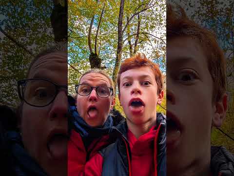 Quand tu laisses ton tel 2 minutes à ta famille....😱