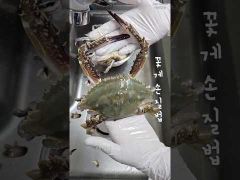 꽃게 손질 방법 / 꽃게찜, 간장게장