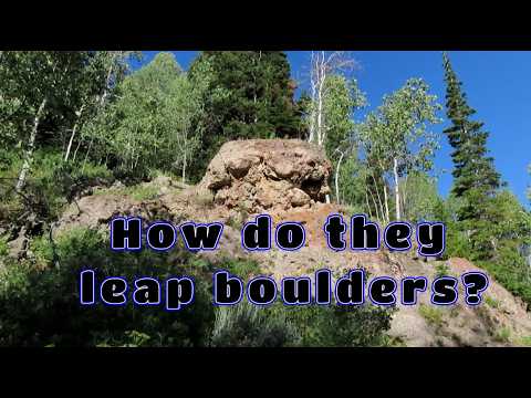 Hidden Valley Sasquatch Leaping Boulder to Boulder