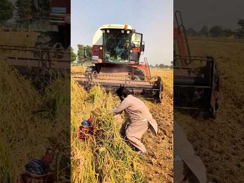 Harvester Sy bacha Liya #harvester #ytshorts #viral