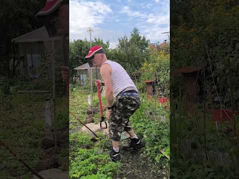 есть #ed80 #юмор #прикол #естьмнение