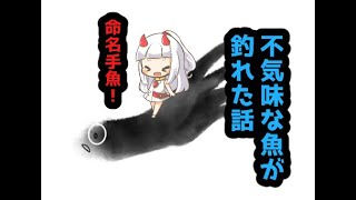 不気味な魚を釣り上げた話