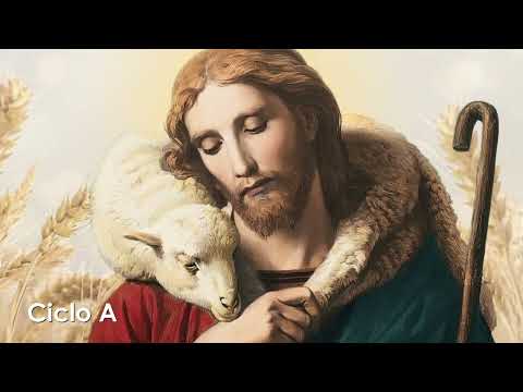 Homilía│ Memoria de Santa Teresa de Jesús 15.10.2026│ Pbro. Javier Martín FM│ www.magnificat.tv│