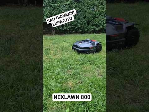 Nuovi arrivi da Roboproject!!!