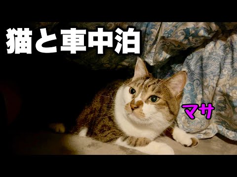 【猫と夏の車中泊旅】大雨でも渋滞してても車中泊なら問題無し！長野から千葉へ350㎞の帰り道。