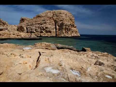 Sinai Shore Excursions, Tours, Trips From Sharm Port