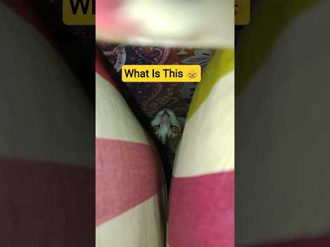 Funny Cat Video😸Try To Not Laughter 🤣#cat #catfunny #funny #catvideos #pet