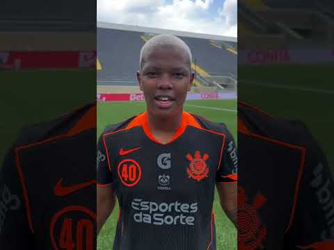 image para ilustrar o artigo