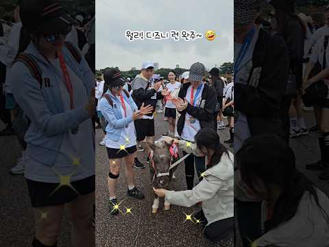 디즈니런🏃♀️우주대스타 월리 가볍게 완주!!💪✨