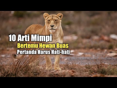 10 Arti Mimpi Bertemu Hewan Buas, Pertanda Harus Hati-hati