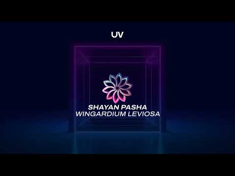 Shayan Pasha - Wingardium Leviosa