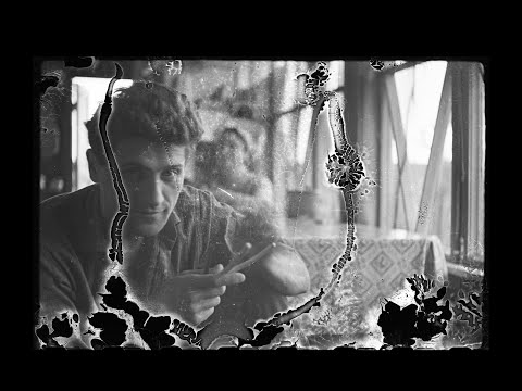Fragile memory'