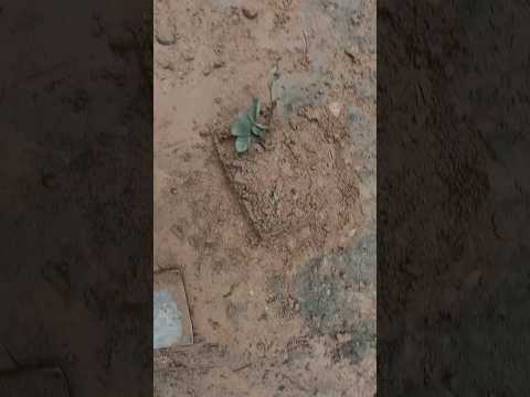 #moodoff 😿😿😿😿