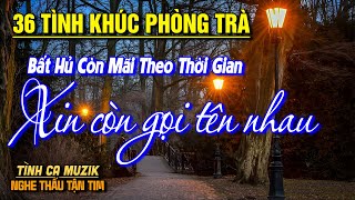 36 Tình Khúc Phòng Trà Tuyển Chọn HAY NHẤT THÁNG 5/2025➤Nhạc Vàng Xưa Bất Hủ Chất Chứa Đầy Tâm Trạng