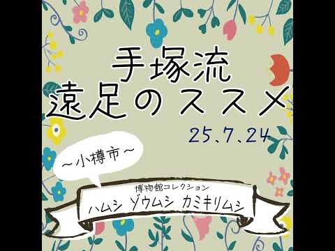 手塚流遠足のススメ ～小樽市～博物館コレクション ハムシ ゾウムシ カミキリムシ