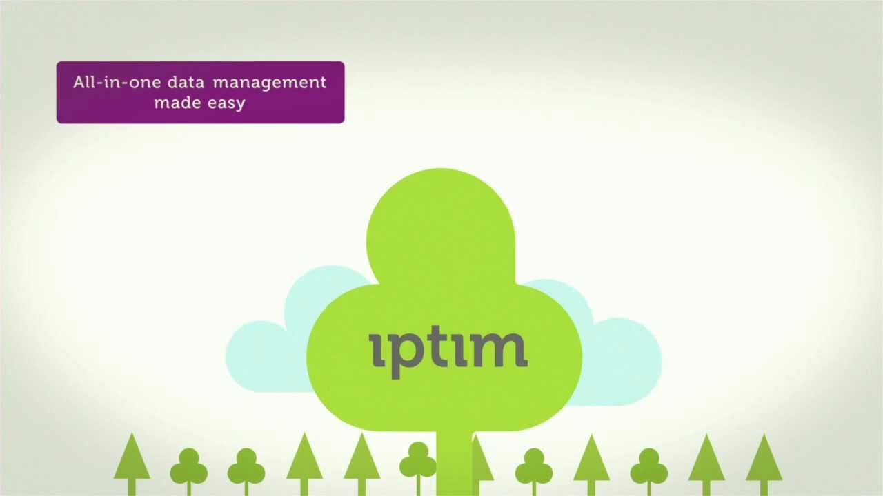 Integrated Planning for Timberland Management - IptimDss
