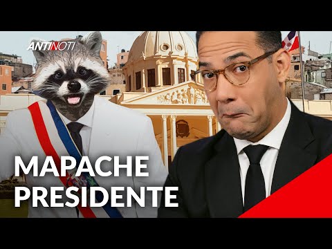 Capturan Al Mapache Y Lo Entregan Al Zoologico [De Gratis] | Antinoti