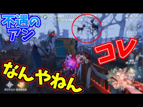 【第五人格】対「使徒アン」2連戦！いつになったらこのネコバグなくなるんだよ！【IdentityⅤ】