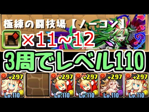 【パズドラ】極練の闘技場 3周でLv110に！ダンボ11~12の超オススメ周回編成紹介！！ ※固定コメントに追記あり