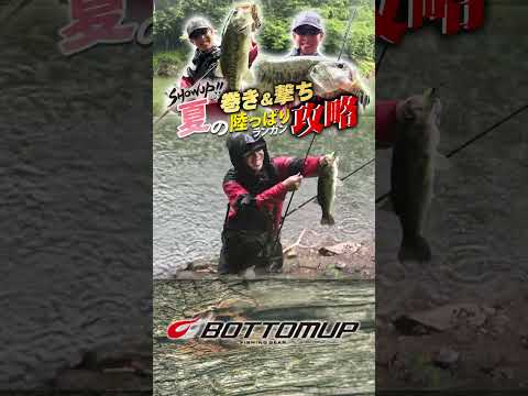 バンク沿いでチャターを巻いていると… #shorts
