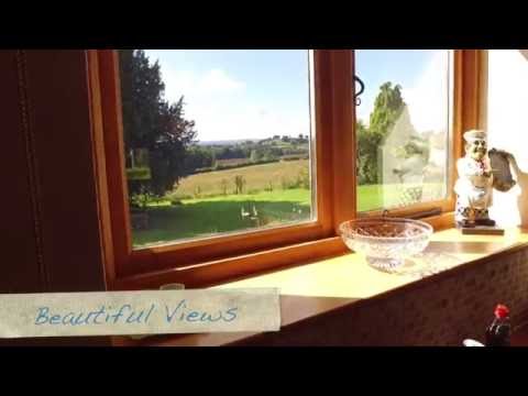Video realizado por la propiedad