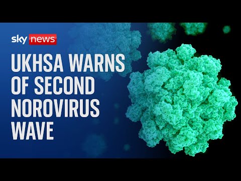 UK Health Service warns of second norovirus wave as hospital cases surge
