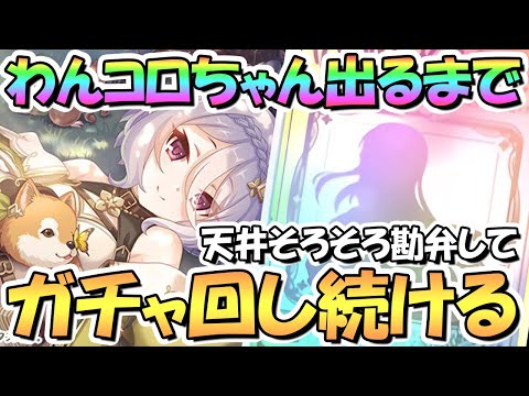 【プリコネR】レンジャーコッコロお迎えするまでガチャ回し続ける！ずっと天井なのでそろそろ勘弁して【コッコロレンジャー】