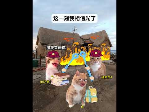 猫の面白リアル瞬間集｜ミーム劇場2025年最新版 サムネイル
