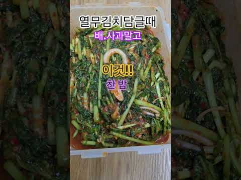 <strong>열무김치담글때</strong>