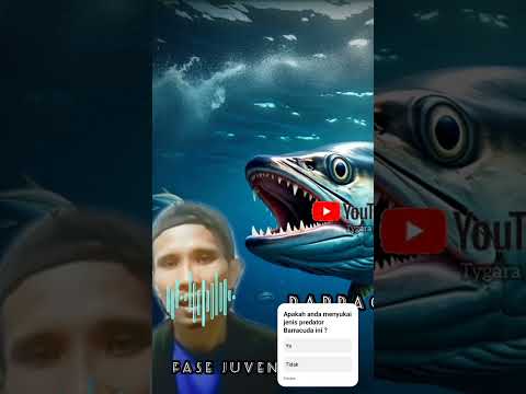 FISHING REELS : Barracuda, sea and river predator, AMAZONE #barracudafish #shorts