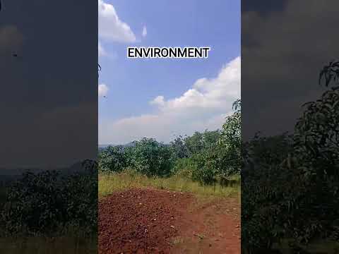 environment dekh sakte ho!!🌿#gaming #shorts #game #trending